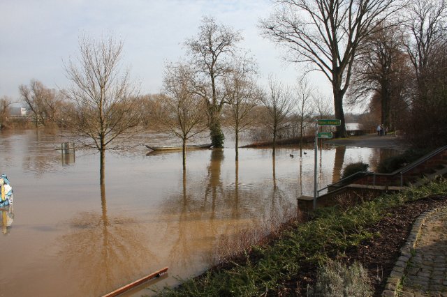 Hochwasser Seligenstadt 18.01.2011 011.JPG